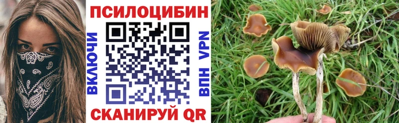 Галлюциногенные грибы GOLDEN TEACHER  цена   Усмань 